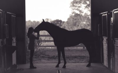 Forkæl din hest med sunde godbidder